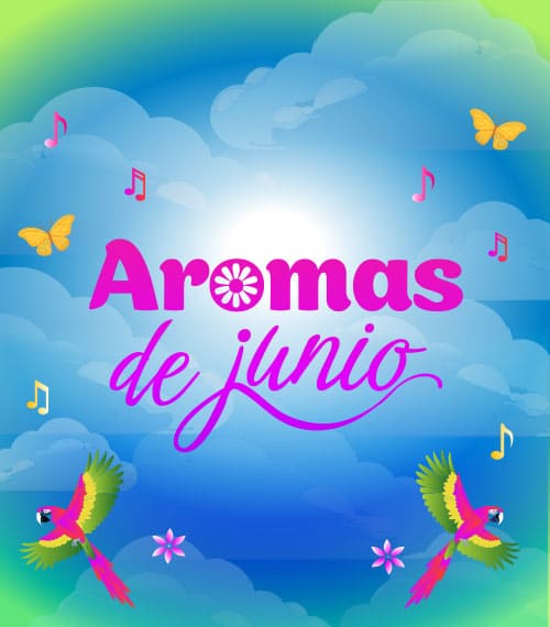 disco portada
