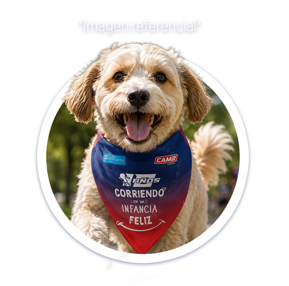 Mascota con bandana de la carrera