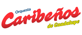 logo slide